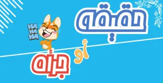 حكم أو جرأة